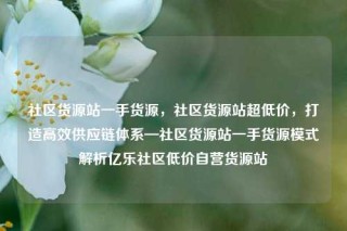 社区货源站一手货源,社区货源站超低价,打造高效供应链体系—社区货源站一手货源模式解析亿乐社区低价自营货源站