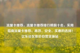 流量卡推荐,流量卡推荐排行榜前十名,实用指南流量卡推荐,高效、安全、实惠的选择!亿乐社区低价自营货源站