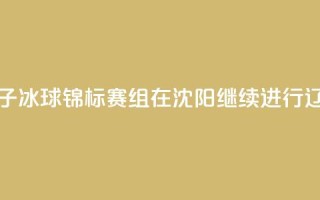 2024年全国青少年U系列女子冰球锦标赛U12组在沈阳继续进行 辽宁队0_1负广东队