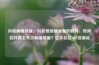 抖音刷播放量,抖音增加播放量的软件,如何在抖音上有效刷播放量?亿乐社区SUP货源站