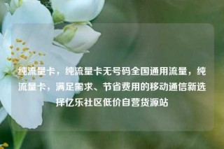 纯流量卡，纯流量卡无号码全国通用流量，纯流量卡，满足需求、节省费用的移动通信新选择亿乐社区低价自营货源站