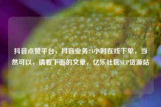 抖音点赞平台,抖音业务24小时在线下单,当然可以,请看下面的文章,亿乐社区SUP货源站