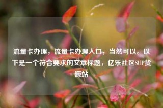 流量卡办理,流量卡办理入口,当然可以。以下是一个符合要求的文章标题,亿乐社区SUP货源站