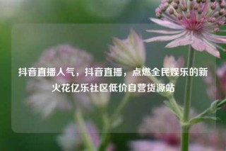 抖音直播人气,抖音直播,点燃全民娱乐的新火花亿乐社区低价自营货源站