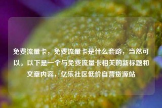 免费流量卡,免费流量卡是什么套路,当然可以。以下是一个与免费流量卡相关的新标题和文章内容,亿乐社区低价自营货源站