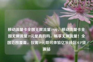移动流量卡全国无限流量19元,移动流量卡全国无限流量19元是真的吗,畅享无限流量!全国范围覆盖,仅需19元即可体验亿乐社区SUP货源站