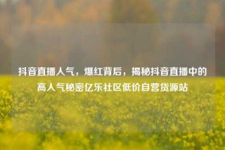 抖音直播人气,爆红背后,揭秘抖音直播中的高人气秘密亿乐社区低价自营货源站