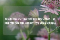 抖音粉丝购买，抖音粉丝业务套餐，揭秘，如何通过抖音实现粉丝购买？亿乐社区SUP货源站