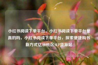 小红书阅读下单平台,小红书阅读下单平台是真的吗,小红书阅读下单平台,探索便捷购书新方式亿乐社区SUP货源站