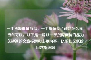 一手货源低价商品，一手货源低价商品怎么卖，当然可以。以下是一篇以一手货源低价商品为关键词的文章标题和主要内容，亿乐社区低价自营货源站