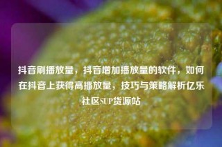 抖音刷播放量,抖音增加播放量的软件,如何在抖音上获得高播放量,技巧与策略解析亿乐社区SUP货源站