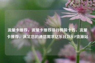 流量卡推荐,流量卡推荐排行榜前十名,流量卡推荐,满足您的通信需求亿乐社区SUP货源站