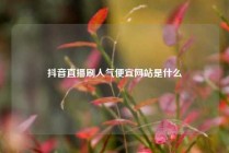 抖音直播刷人气便宜网站是什么