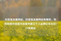 抖音涨流量网站，抖音涨流量网站有哪些，如何利用抖音提升流量并建立个人品牌亿乐社区SUP货源站