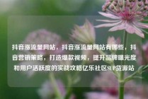 抖音涨流量网站，抖音涨流量网站有哪些，抖音营销策略，打造爆款视频，提升品牌曝光度和用户活跃度的实战攻略亿乐社区SUP货源站