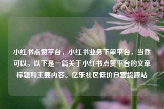小红书点赞平台,小红书业务下单平台,当然可以。以下是一篇关于小红书点赞平台的文章标题和主要内容。亿乐社区低价自营货源站