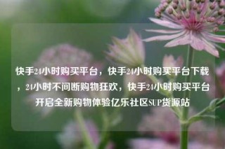 快手24小时购买平台,快手24小时购买平台下载,24小时不间断购物狂欢,快手24小时购买平台开启全新购物体验亿乐社区SUP货源站