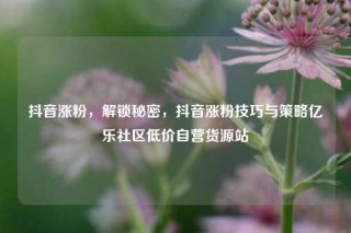 抖音涨粉,解锁秘密,抖音涨粉技巧与策略亿乐社区低价自营货源站