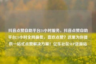 抖音点赞自助平台24小时服务，抖音点赞自助平台24小时全网最低，喜欢点赞？这里为你提供一站式点赞解决方案！亿乐社区SUP货源站