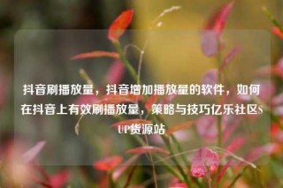 抖音刷播放量,抖音增加播放量的软件,如何在抖音上有效刷播放量,策略与技巧亿乐社区SUP货源站