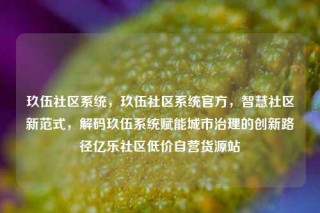 玖伍社区系统,玖伍社区系统官方,智慧社区新范式,解码玖伍系统赋能城市治理的创新路径亿乐社区低价自营货源站