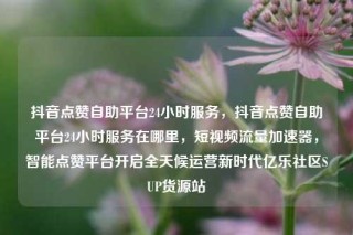 抖音点赞自助平台24小时服务,抖音点赞自助平台24小时服务在哪里,短视频流量加速器,智能点赞平台开启全天候运营新时代亿乐社区SUP货源站