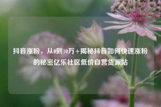 抖音涨粉，从0到10万+揭秘抖音如何快速涨粉的秘密亿乐社区低价自营货源站