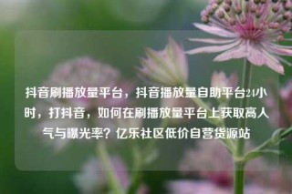 抖音刷播放量平台,抖音播放量自助平台24小时,打抖音,如何在刷播放量平台上获取高人气与曝光率?亿乐社区低价自营货源站
