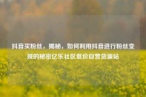 抖音买粉丝，揭秘，如何利用抖音进行粉丝变现的秘密亿乐社区低价自营货源站