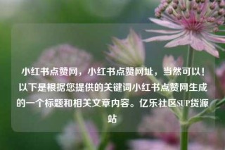 小红书点赞网，小红书点赞网址，当然可以！以下是根据您提供的关键词小红书点赞网生成的一个标题和相关文章内容。亿乐社区SUP货源站