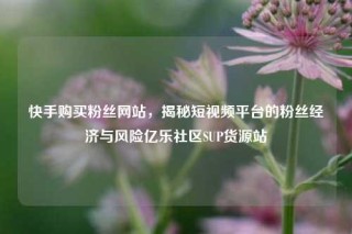 快手购买粉丝网站,揭秘短视频平台的粉丝经济与风险亿乐社区SUP货源站