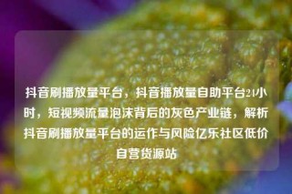抖音刷播放量平台，抖音播放量自助平台24小时，短视频流量泡沫背后的灰色产业链，解析抖音刷播放量平台的运作与风险亿乐社区低价自营货源站