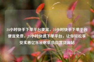 24小时快手下单平台便宜,24小时快手下单平台便宜免费,24小时快速下单平台,让你轻松享受实惠亿乐社区低价自营货源站