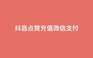 抖音点赞充值微信支付,刷qq好友网站 - 最便宜的货源批发网站 - qq会员自助下单商城