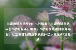 抖音点赞自助平台24小时服务,抖音点赞自助平台24小时服务在哪里,24小时在线点赞服务平台,让您的作品快速收获赞评亿乐社区SUP货源站