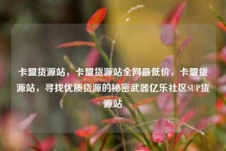 卡盟货源站,卡盟货源站全网最低价,卡盟货源站,寻找优质货源的秘密武器亿乐社区SUP货源站