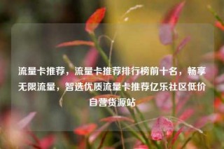流量卡推荐，流量卡推荐排行榜前十名，畅享无限流量，智选优质流量卡推荐亿乐社区低价自营货源站