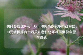 买抖音粉丝10元一万,如何高效获取抖音粉丝,10元轻松拥有十万关注者!亿乐社区低价自营货源站
