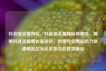 抖音涨流量网站，抖音涨流量网站有哪些，揭秘抖音流量增长新途径，利用专业网站助力快速崛起亿乐社区低价自营货源站