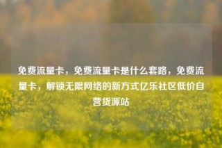 免费流量卡，免费流量卡是什么套路，免费流量卡，解锁无限网络的新方式亿乐社区低价自营货源站