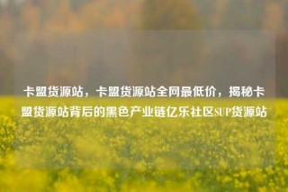卡盟货源站,卡盟货源站全网最低价,揭秘卡盟货源站背后的黑色产业链亿乐社区SUP货源站