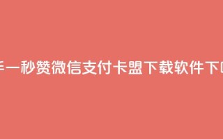 快手一秒5000赞微信支付 - 卡盟下载软件
