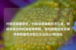 对接货源最低价,对接货源最低价怎么算,低成本高效供应链管理策略,如何精准对接货源并获取最优价格亿乐社区SUP货源站