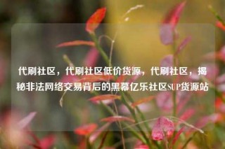 代刷社区,代刷社区低价货源,代刷社区,揭秘非法网络交易背后的黑幕亿乐社区SUP货源站