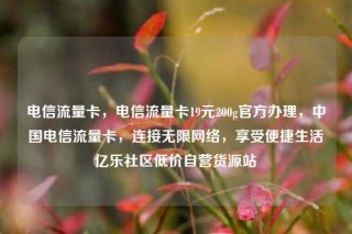 电信流量卡,电信流量卡19元200g官方办理,中国电信流量卡,连接无限网络,享受便捷生活亿乐社区低价自营货源站