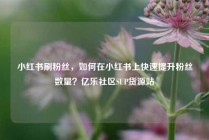 小红书刷粉丝,如何在小红书上快速提升粉丝数量?亿乐社区SUP货源站