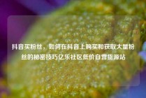 抖音买粉丝，如何在抖音上购买和获取大量粉丝的秘密技巧亿乐社区低价自营货源站