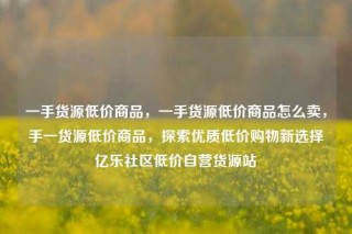 一手货源低价商品,一手货源低价商品怎么卖,手一货源低价商品,探索优质低价购物新选择亿乐社区低价自营货源站
