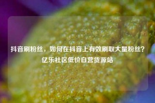 抖音刷粉丝,如何在抖音上有效刷取大量粉丝?亿乐社区低价自营货源站