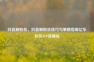 抖音刷粉丝,抖音刷粉丝技巧与策略指南亿乐社区SUP货源站